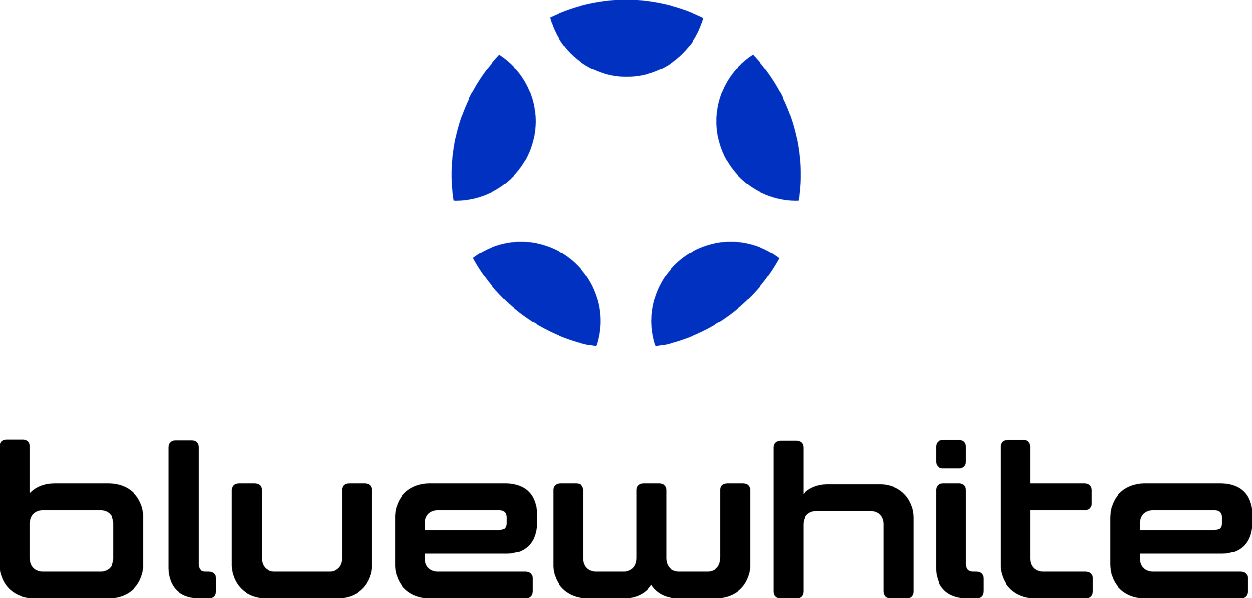 BLUEWHITE_logo_2