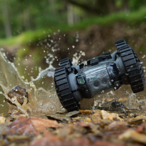 IRIS-e1595411808499-2048x1365 2